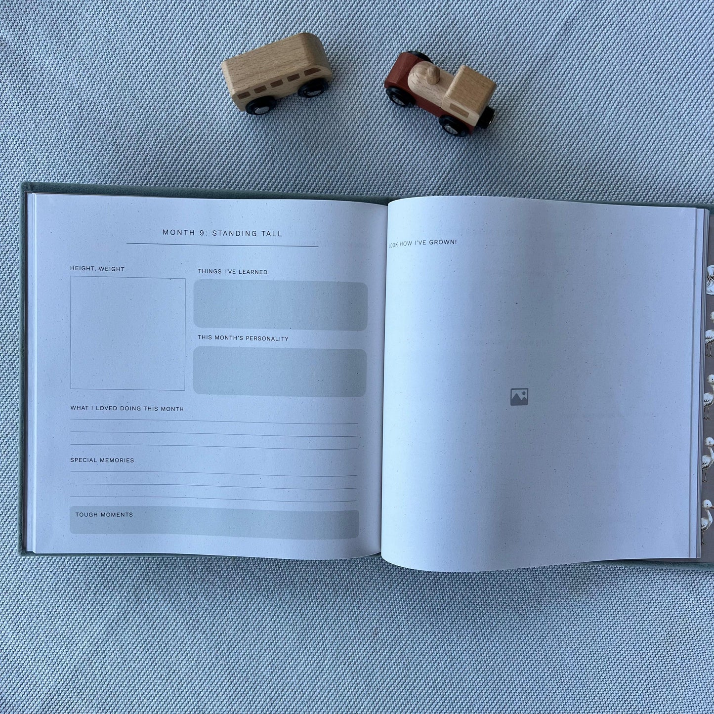 Baby's First-Year Journal - A la Carte. Prints